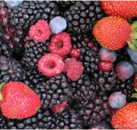 Gentle Annie Berry Gardens - Accommodation Batemans Bay