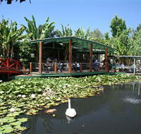 Blue Lotus Water Garden - Accommodation Batemans Bay