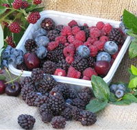 Bright Berry Farms - Accommodation Batemans Bay
