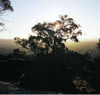 Yarra Flats - Accommodation Batemans Bay