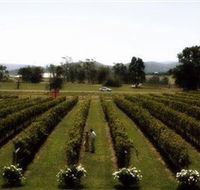 Rochford Wines - Accommodation Batemans Bay