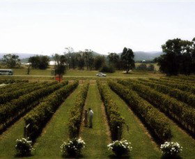 Rochford Wines - Accommodation Batemans Bay 0