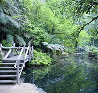 Alfred Nicholas Gardens - Accommodation Batemans Bay