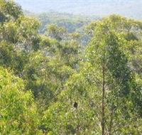 Bunyip State Park - Accommodation Batemans Bay