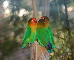 Ballarat Bird World - Accommodation Batemans Bay 0
