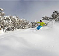 Mt Buller and Mt Stirling Alpine Resort - Accommodation Batemans Bay