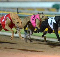 The Beckley Centre - Accommodation Batemans Bay