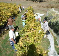 Blakes Estate Winery - Accommodation Batemans Bay