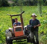 Kellybrook Winery  Kelly Brothers Cider - Accommodation Batemans Bay