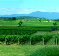 Acacia Ridge Vineyard - Accommodation Batemans Bay