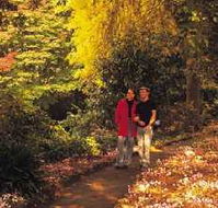George Tindale Memorial Gardens - Accommodation Batemans Bay