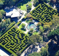 Ashcombe Maze  Lavender Gardens - Accommodation Batemans Bay