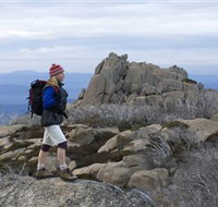 Mount Buffalo National Park - Accommodation Batemans Bay