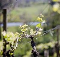 Lindemans Karadoc Winery - Accommodation Batemans Bay