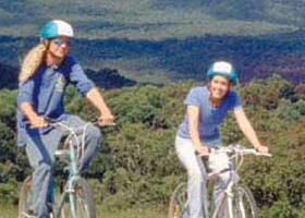 Lysterfield Park - Accommodation Batemans Bay 0