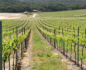 M Chapoutier Australia - Accommodation Batemans Bay 0