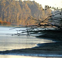 Barmah National Park - Accommodation Batemans Bay