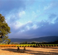 Mount Avoca - Accommodation Batemans Bay