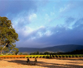 Mount Avoca - Accommodation Batemans Bay 0