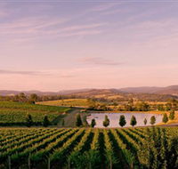 Oakridge Wines - Accommodation Batemans Bay