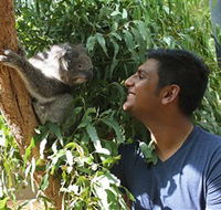Healesville Sanctuary - Accommodation Batemans Bay