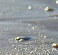 Cape Liptrap Coastal Park - Accommodation Batemans Bay