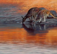 Steve Morvell Wildlife Art - Accommodation Batemans Bay