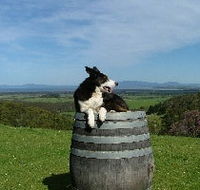 Windy Ridge Vineyard and Winery - Accommodation Batemans Bay