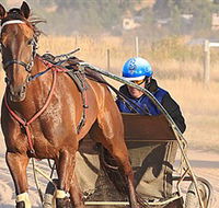 Ballarat  District Trotting Club - Accommodation Batemans Bay