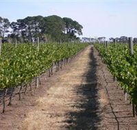 Mount Beckworth Wines - Accommodation Batemans Bay