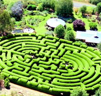 Wandiligong Maze - Accommodation Batemans Bay