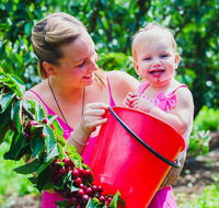 Cherryhill Orchards - Accommodation Batemans Bay