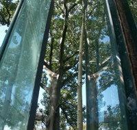 Sydney Sculpture Walk - Accommodation Batemans Bay