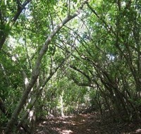 Eucalypt Trail - Accommodation Batemans Bay