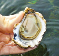 The Oyster Pot - Accommodation Batemans Bay