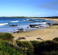 Eurobodalla National Park - Accommodation Batemans Bay