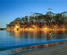 Batemans Marine Park - Accommodation Batemans Bay 0