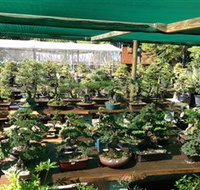 Bonsai at the Bay - Accommodation Batemans Bay