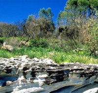 Abrahams Bosom Reserve - Accommodation Batemans Bay