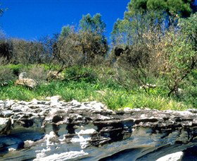 Abrahams Bosom Reserve - Accommodation Batemans Bay 0