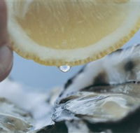 Pearly Oyster Bar and Farm - Accommodation Batemans Bay