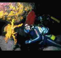 Solitary Islands Marine Park