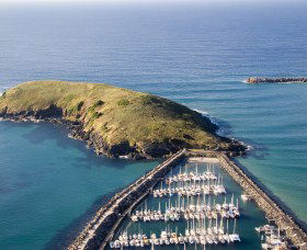 Muttonbird Island Nature Reserve - Accommodation Batemans Bay 0