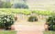 Brindabella Hills Winery - thumb 0