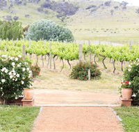 Brindabella Hills Winery - Accommodation Batemans Bay