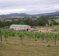 Villa d Esta Vineyard - Accommodation Batemans Bay