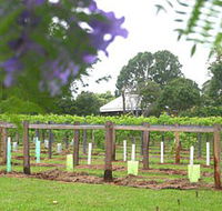 Douglas Vale Historic Homestead  Vineyard - Accommodation Batemans Bay