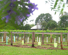 Douglas Vale Historic Homestead & Vineyard - Accommodation Batemans Bay 0