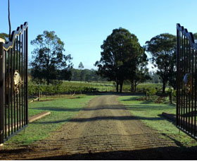 Moorebank Private Vineyard - Accommodation Batemans Bay 3