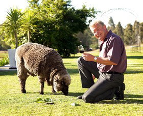 Moorebank Private Vineyard - Accommodation Batemans Bay 2